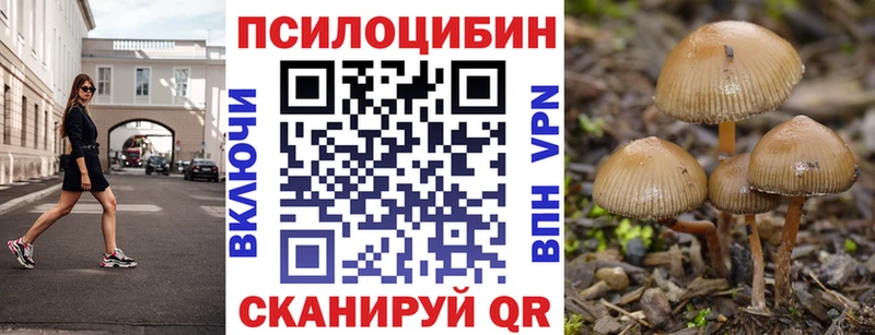 Псилоцибиновые грибы GOLDEN TEACHER  Магнитогорск 
